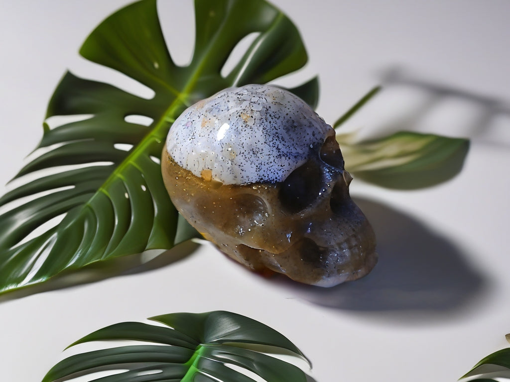 Life's true face is a Skull