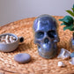 Life's true face is a Skull