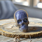 Life's true face is a Skull