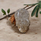 Life's true face is a Skull