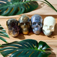 Life's true face is a Skull